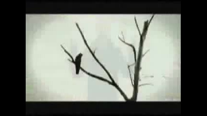 Leona Lewis Ft. Justin Timberlake - Dont let me Down ( Official Fan Video) New 2009 Vbox7 
