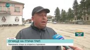 Птичи грип в стопанство в Търновско