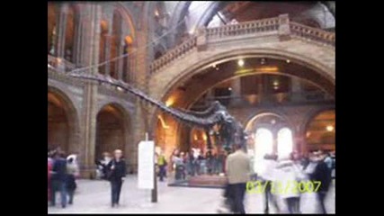 dinozavur5