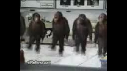 Танцуващи маймунки