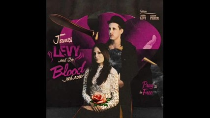 Give Me Happiness - James Levy and the Blood Red Rose ( Studio version )