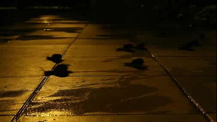 [vimeo - 1438733] Snails Go west Funny Timelapse