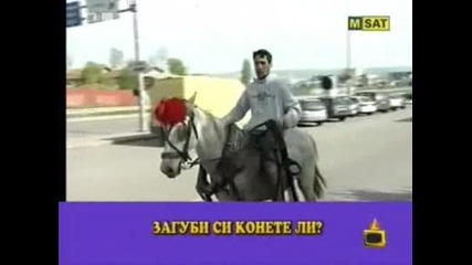 Не Се Губете - Господари На Ефира