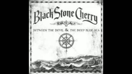 Black Stone Cherry - Shake
