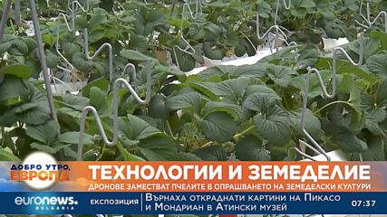 Мини дронове заменят пчелите в земеделието