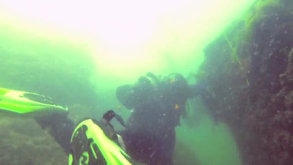 На морското дъно край Тюленово няма живот