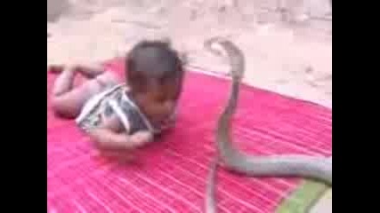 Бебе си играе със змия