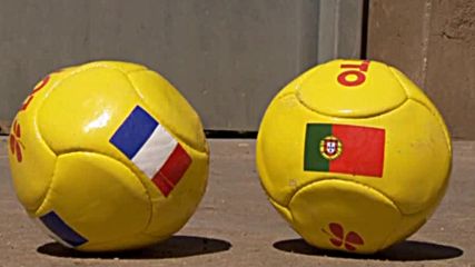 Германският слон оракул предрече победителя в UEFA EURO 2016