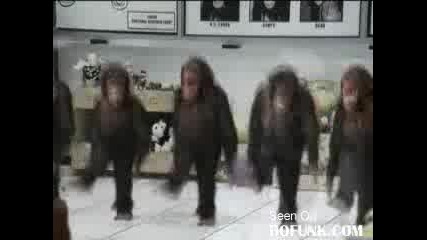 Маймуни Танцуват Ирландски Танци