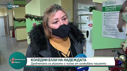 Коледни елхи на надеждата: Дръвчетата са украсени с писма на излекувани пациенти
