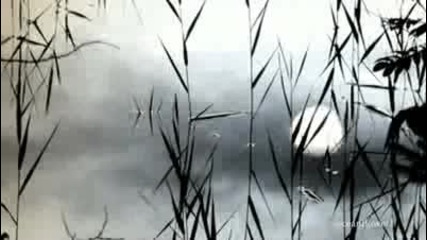 Юлия Савичева - Високо