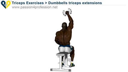 Arms exercises - Triceps 4
