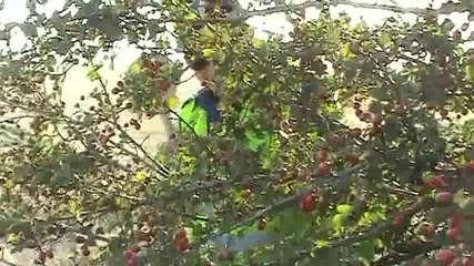 Полицаят и мутрата