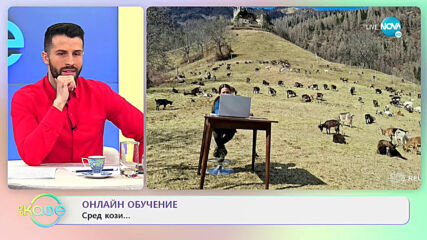 Онлайн обучение сред кози... - „На кафе” (26.03.2021)