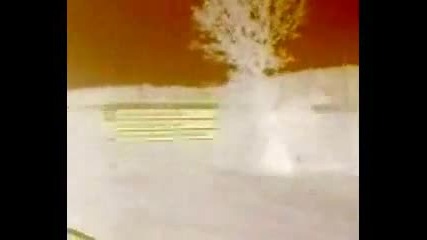 Ostrich Tuning- Floor