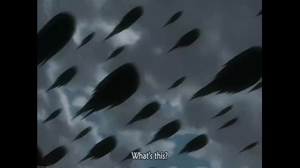 D.gray - man - 52 [good quality]