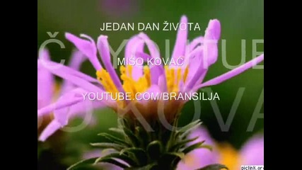Miso Kovac - Jedan dan zivota