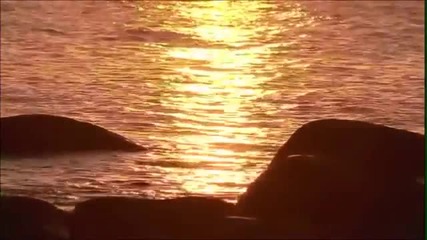 Sea Symphony