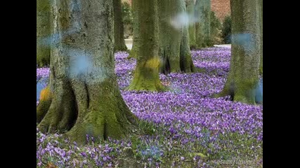 Victor Algranti - Acuestate ( Relaxing music )