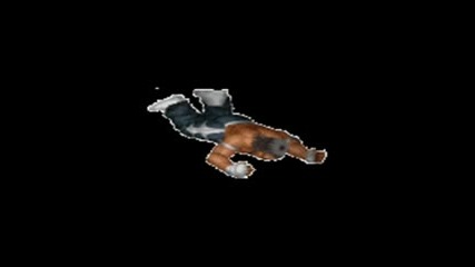 Wrestling Animations 2