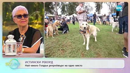 Какъв е химнът на ретрийвъра? - „На кафе” (14.05.2021)
