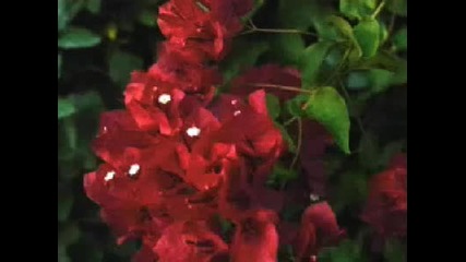Kaskade - Be Still 