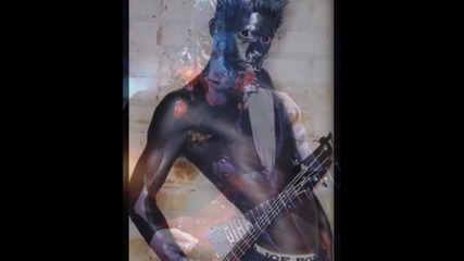 Limp Bizkit (wes Borland)