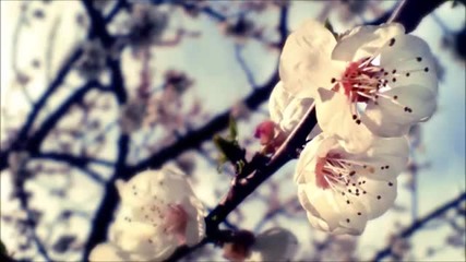 Fabu - Spring (2012 Mastered)