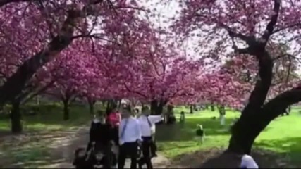 Philip Glass - Morning passages