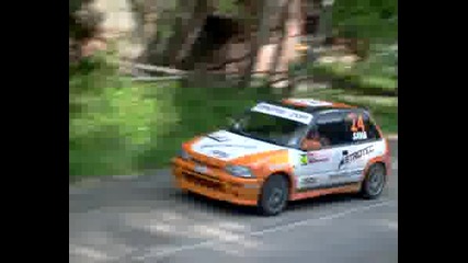 Рали Вида - 2008 - Сава Димитров