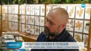 Екзотична изложба на гигантски охлюви отвори врати в Пловдив
