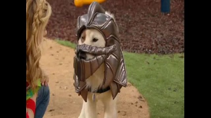 Disney-dog with a Blog S01e05