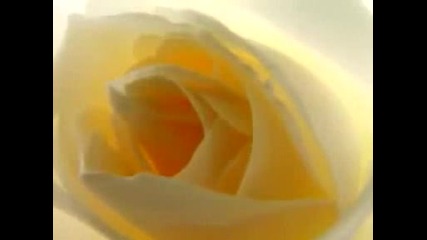Demis Roussos - Una furtiva lagrima 