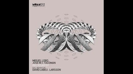Miguel Lobo, Jose M. & Tacoman - The Socialism (larsson Remix)