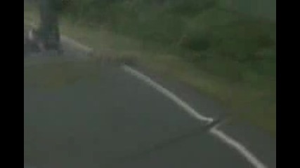 Capivara derruba Cbr 1000!
