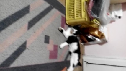 Vid_20170524_010156