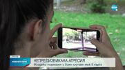 АГРЕСИЯ: Група младежи рита възрастен мъж в парк в Пловдив