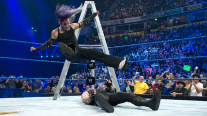 The Undertaker vs. Jeff Hardy - Steel Cage Match: SmackDown, Nov 14, 2008