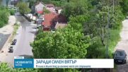 Силният вятър събори дървета и клони в Русе