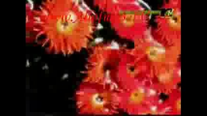 Trance n Acid.mp4