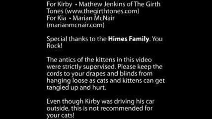 Help Cat Music Video