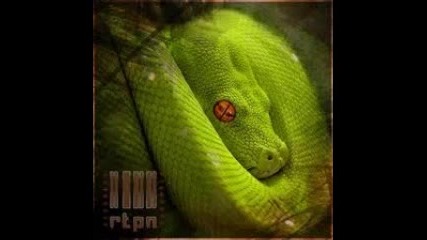 Rtpn - Pulse