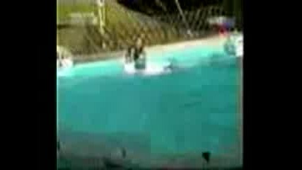 Деца Jackass