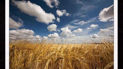 Летен пейзаж