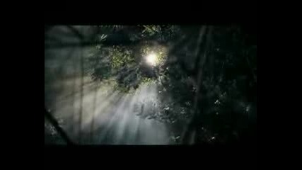 Vampires Everywhere - Immortal Love