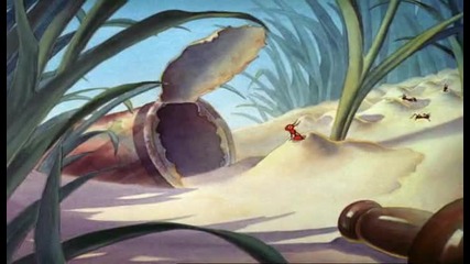 Donald Duck - Beach Picnic 