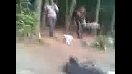 Видео000