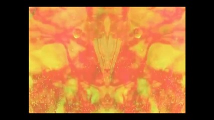 Lammicken - Braids ( T- Mass Dubstep Remix) 2012