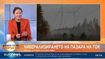 Евродепутат: Планира се изграждането на над 20 ядрени реактора в Европа в следващите 15 години