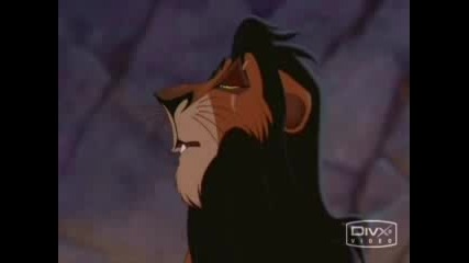 Lion King - O - Zone - Dragostea Din Tei